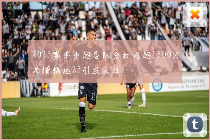 2025赛季中超各队分红将超1500万元增幅达25引发关注